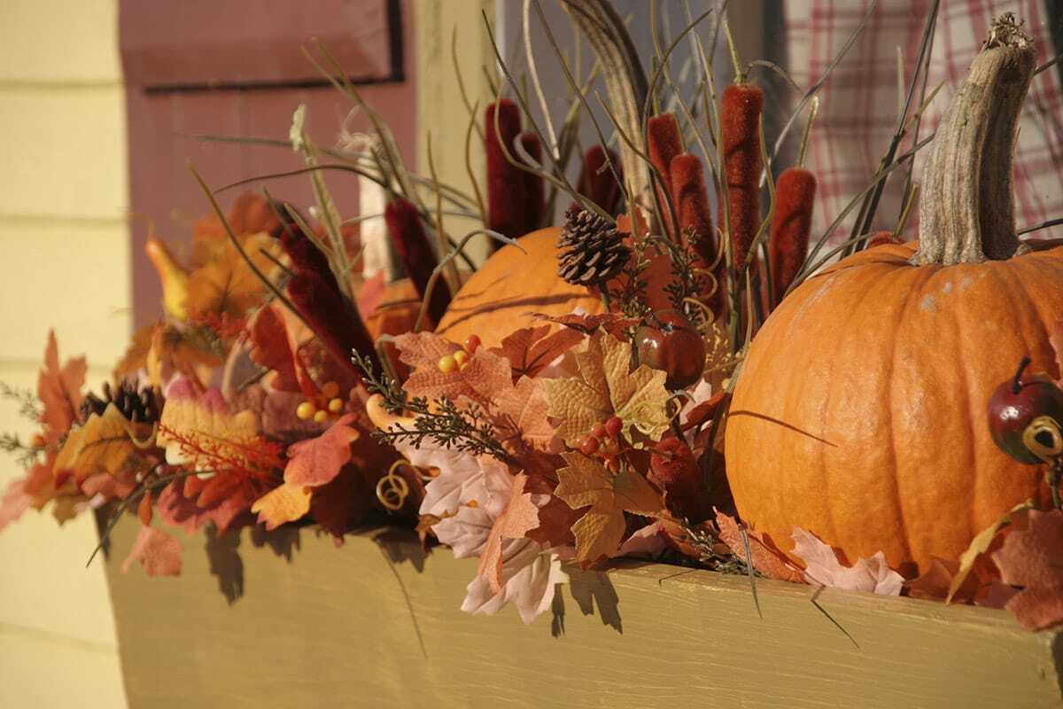 fall window box with pumpkins